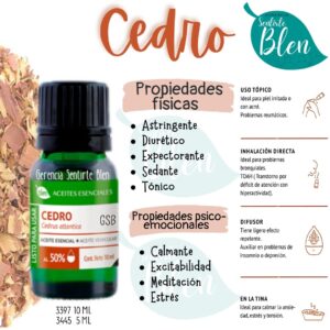 cedro1