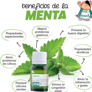 menta2