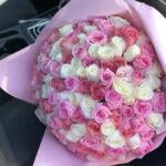 rosa6