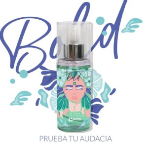 body6
